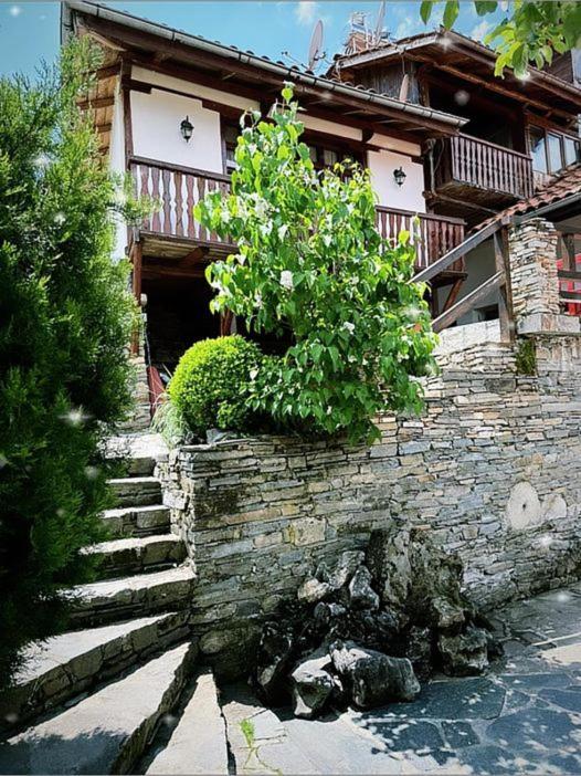 Sharkov Guest House Dolen  Extérieur photo
