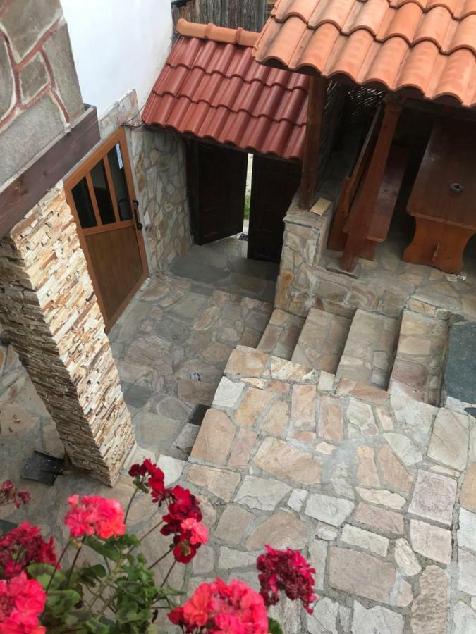 Sharkov Guest House Dolen  Extérieur photo